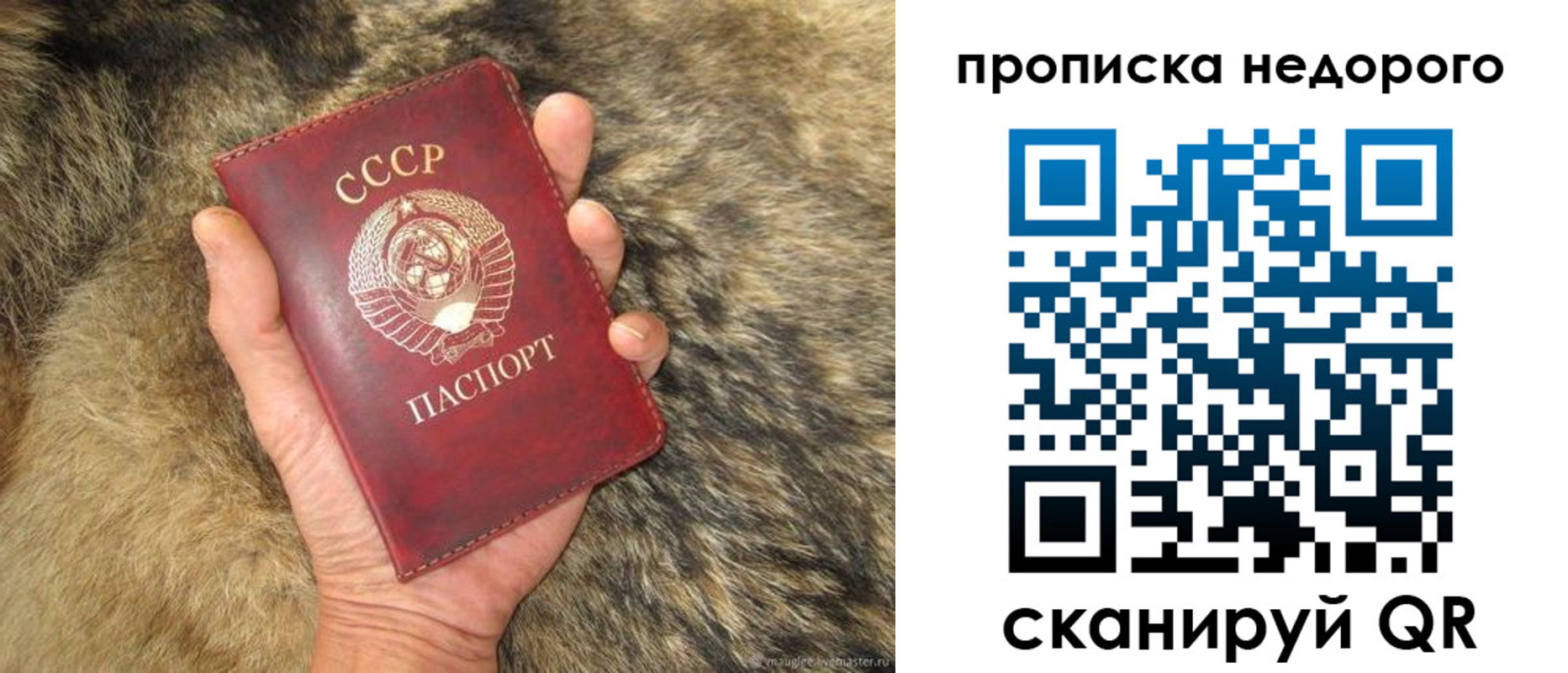 прописка для школы в Зее