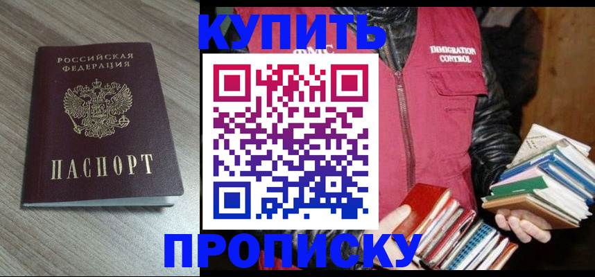 прописка 2025 в Зее